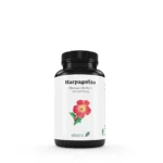 Harpagofito 500 mg – 60 comprimidos