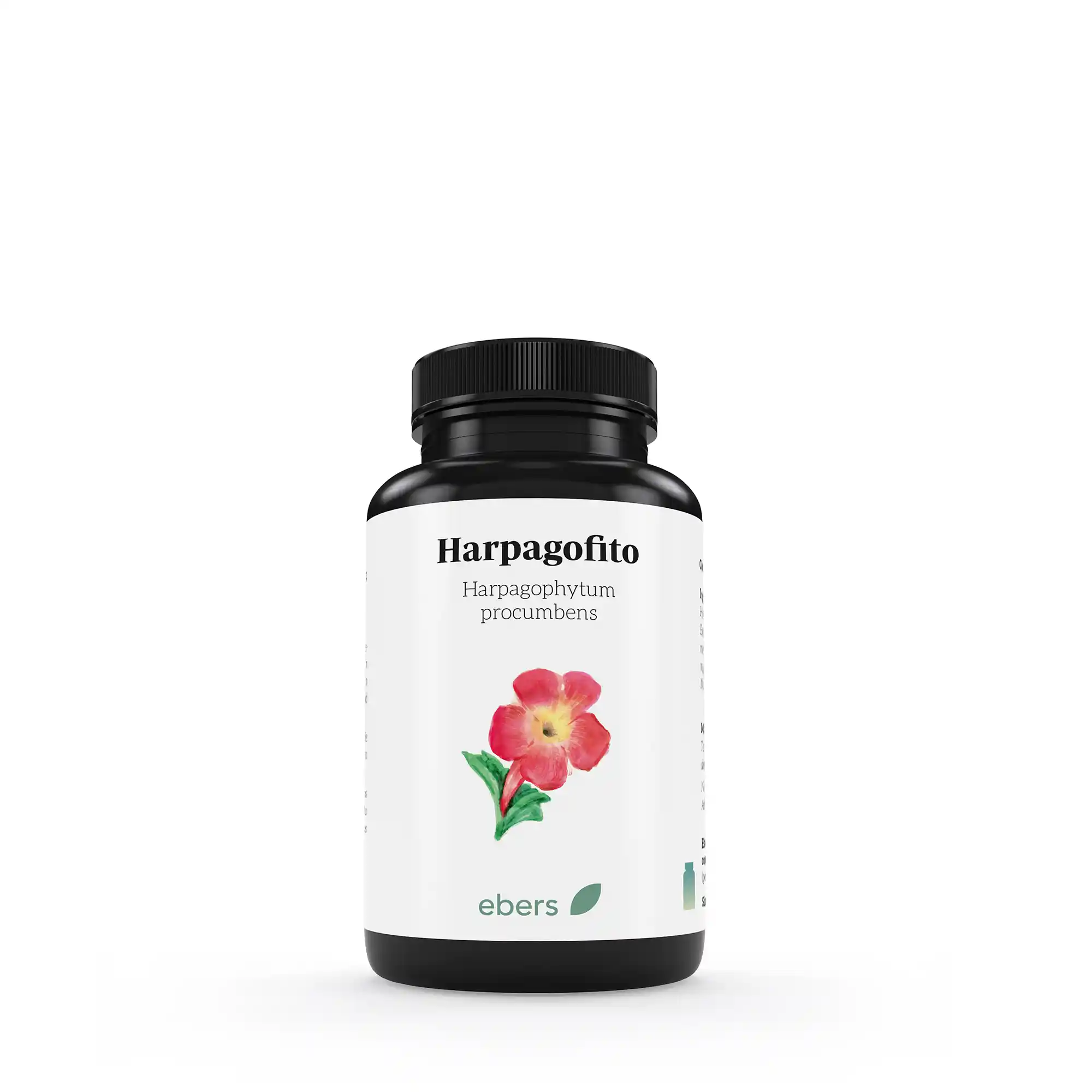 Complemento alimenticio a base de Harpagofito