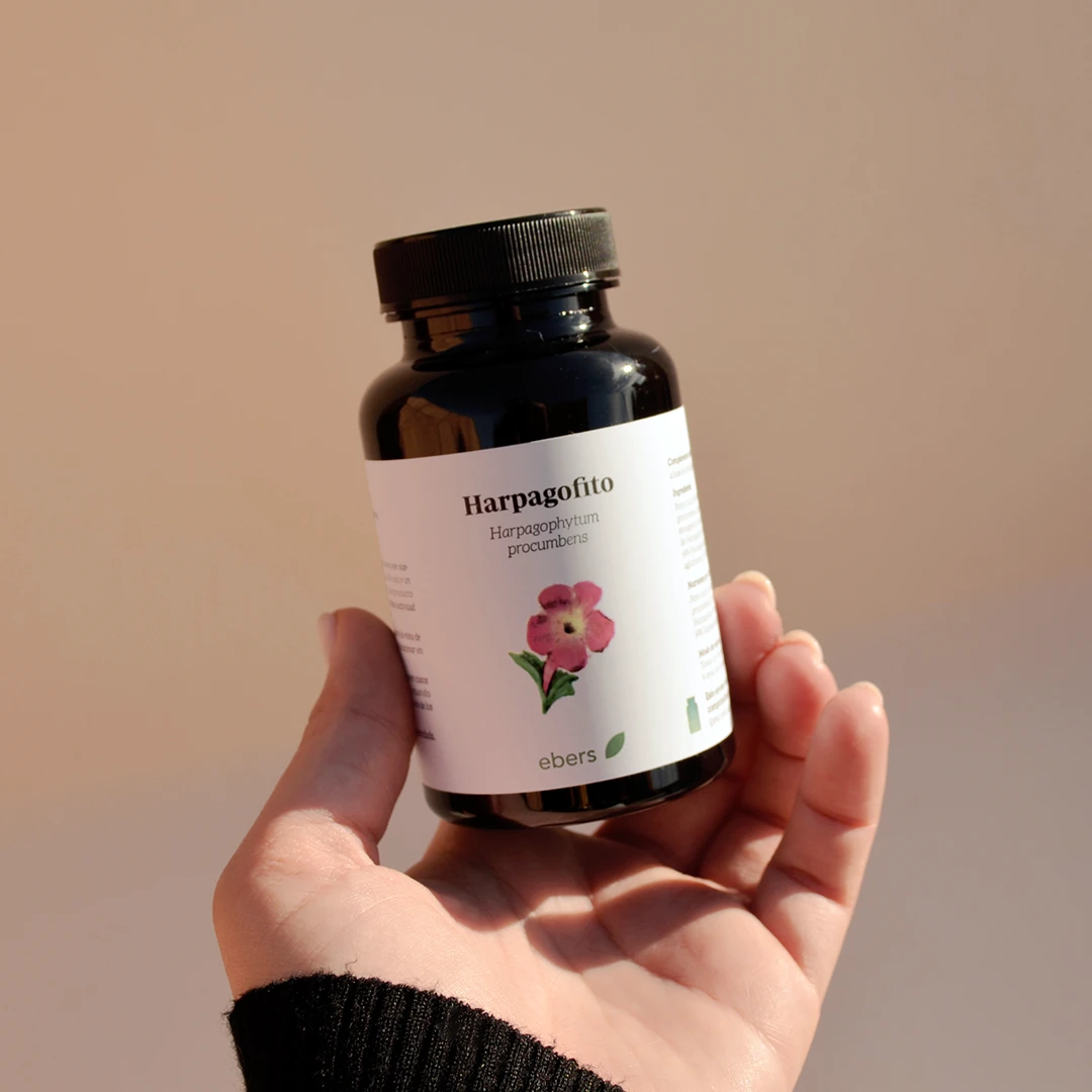 Complemento alimenticio a base de Harpagofito