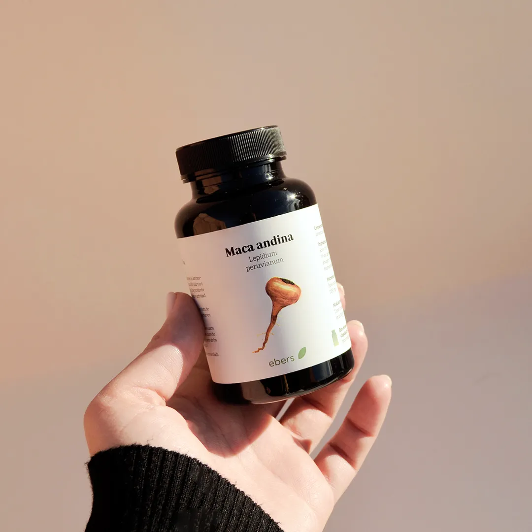 Complemento alimenticio a base de Maca